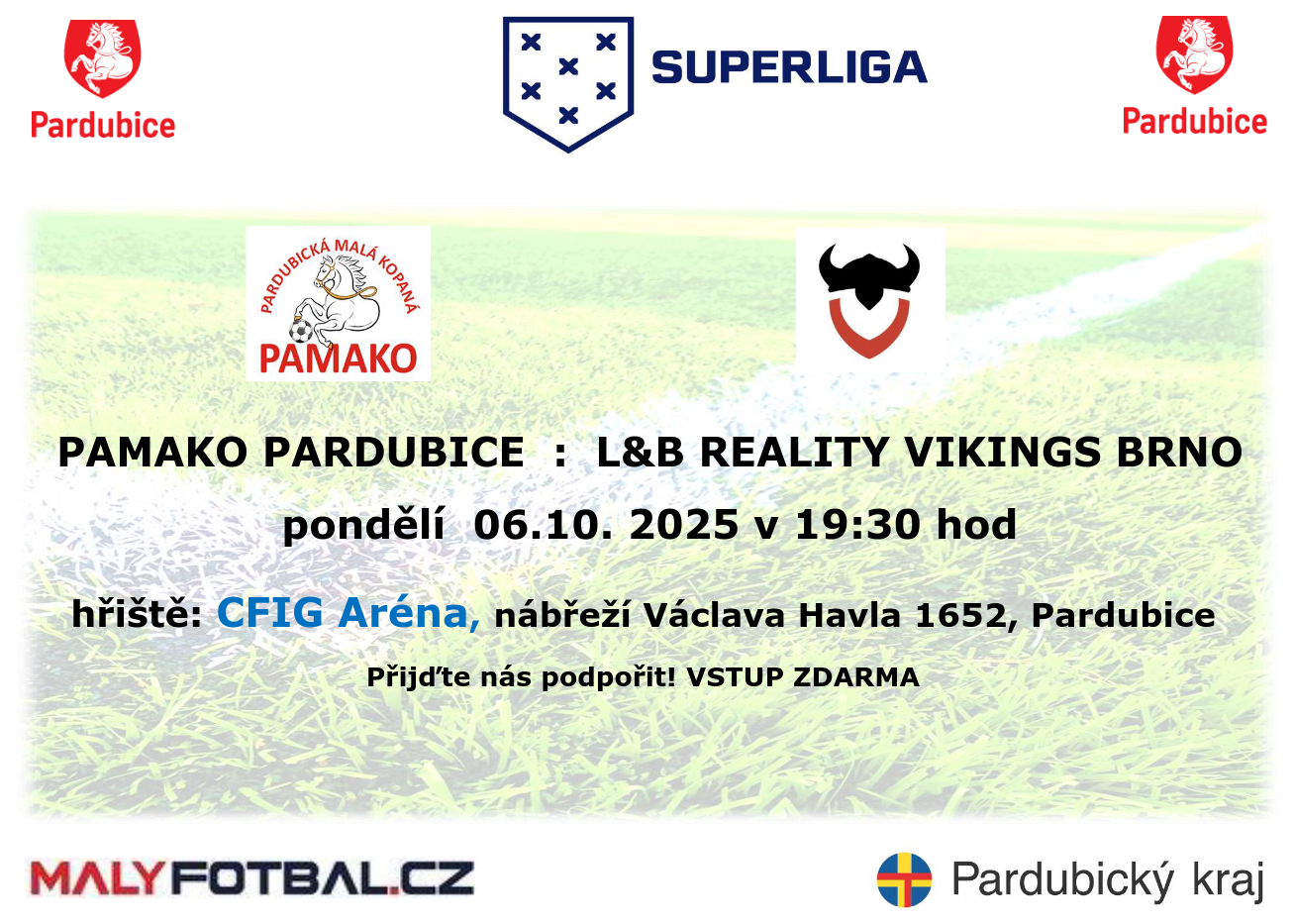 pamako pardubice viking brno